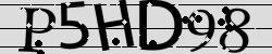 Retype the CAPTCHA code from the image